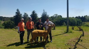 img_20161120_104753921