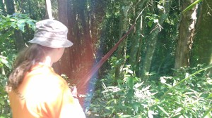 img_20161120_105113844