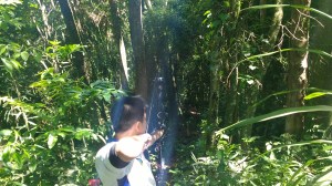 img_20161120_105223127