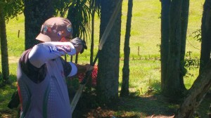 img_20161120_112354569