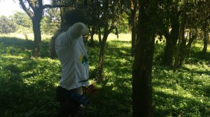 img_20161120_114429247