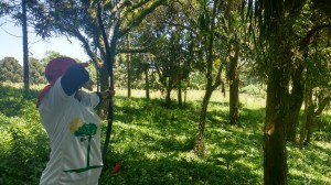 img_20161120_114715506_hdr