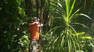 img_20161120_115434960