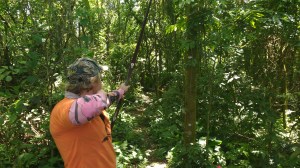 img_20161120_120305159