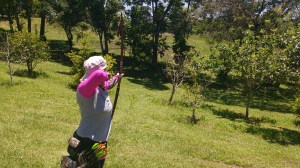 img_20161120_124850907